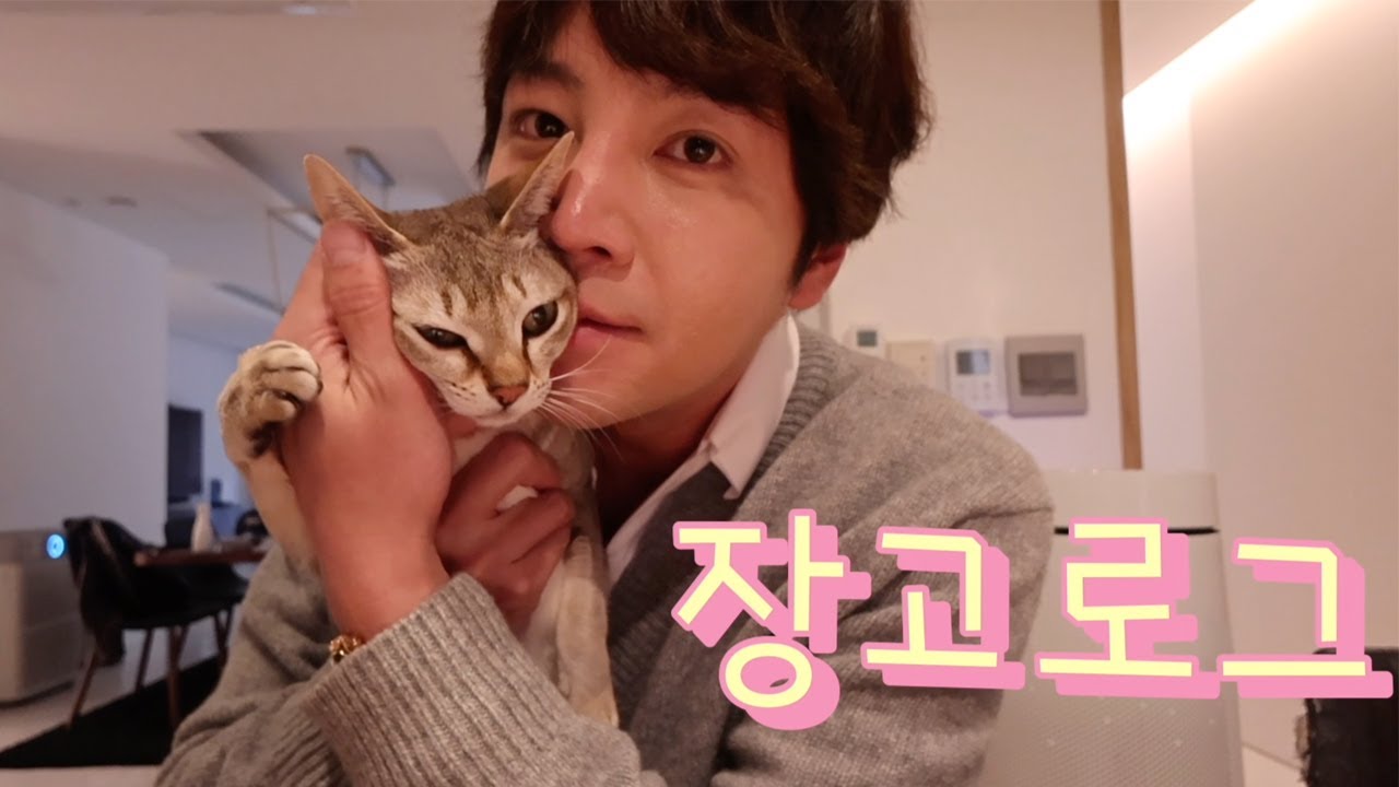 [장근석 제작] ep.04 세상에 이런 일이 | 손을 주는 고양이가 있다?! | 장근석 고양이🐱 | 장고로그 | 우리 집 개냥이 보러 올래?