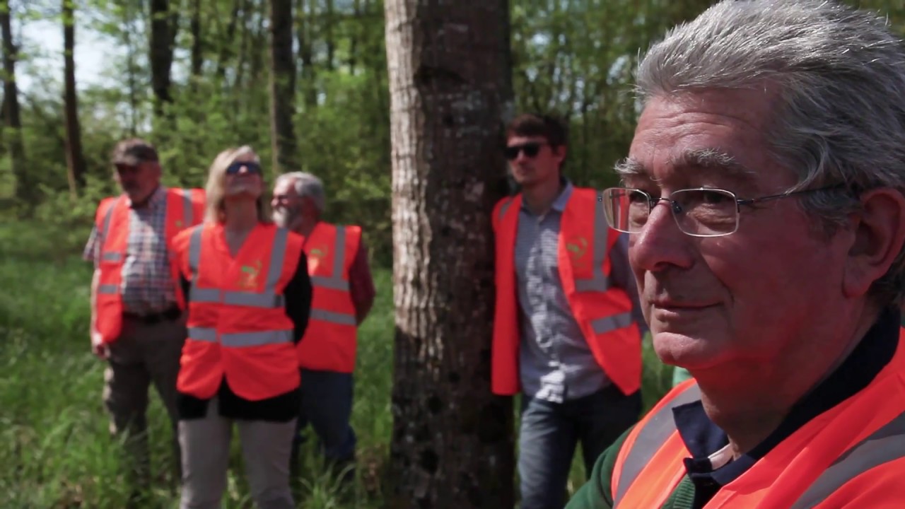 Me former pour ma forêt