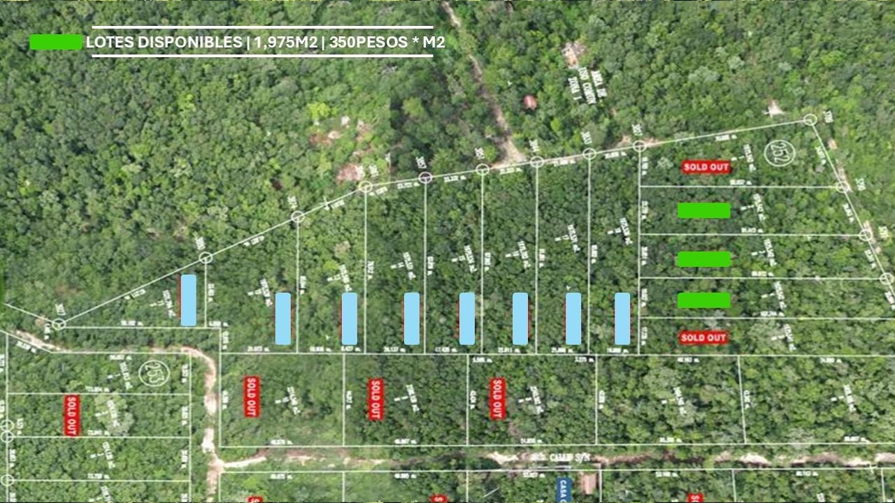 🌿 VENTA | TERRENOS RESIDENCIALES EN SELVA – BAJA DENSIDAD 🌿