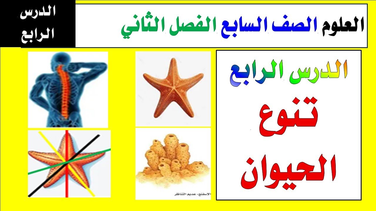 الدرس الرابع ( مملكة الحيوان تنوع الحيوان) الفقاريات والترئيس والسيلوم علوم الصف السابع الفصل الثاني