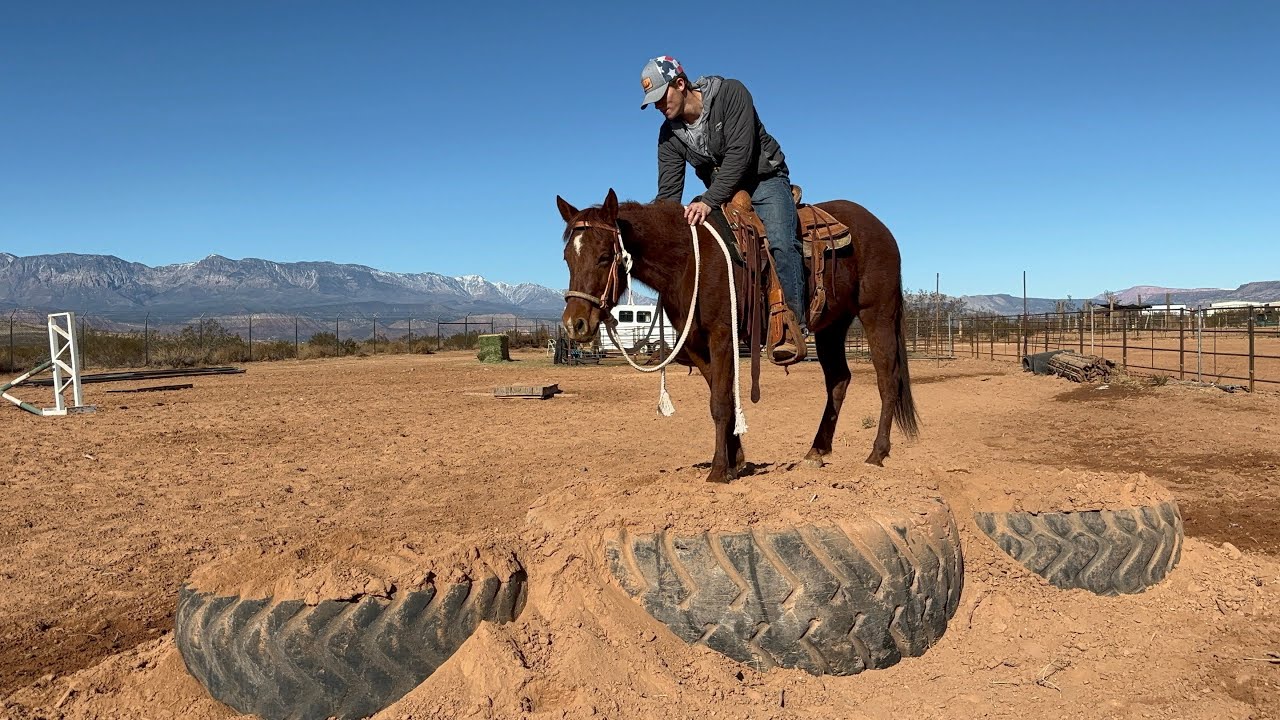 Horse life in Southern Utah| 🏜️