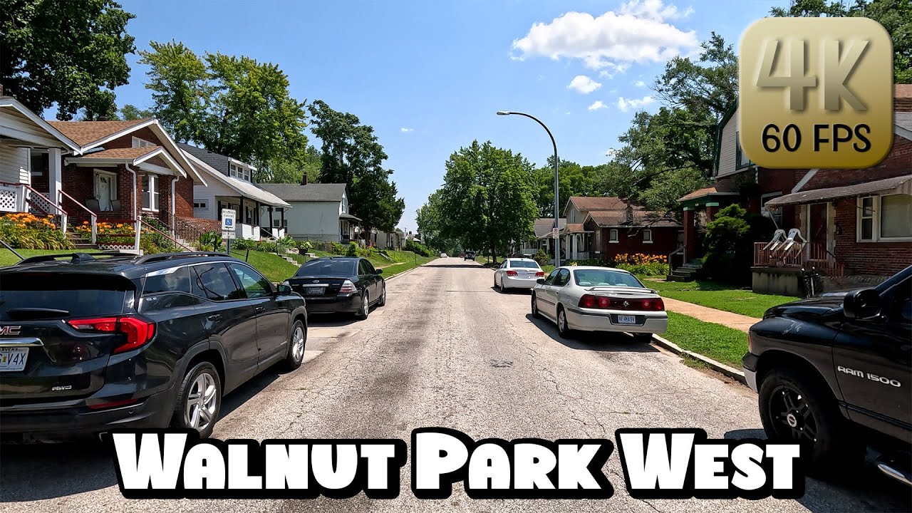 Driving Around St. Louis Hood - 
