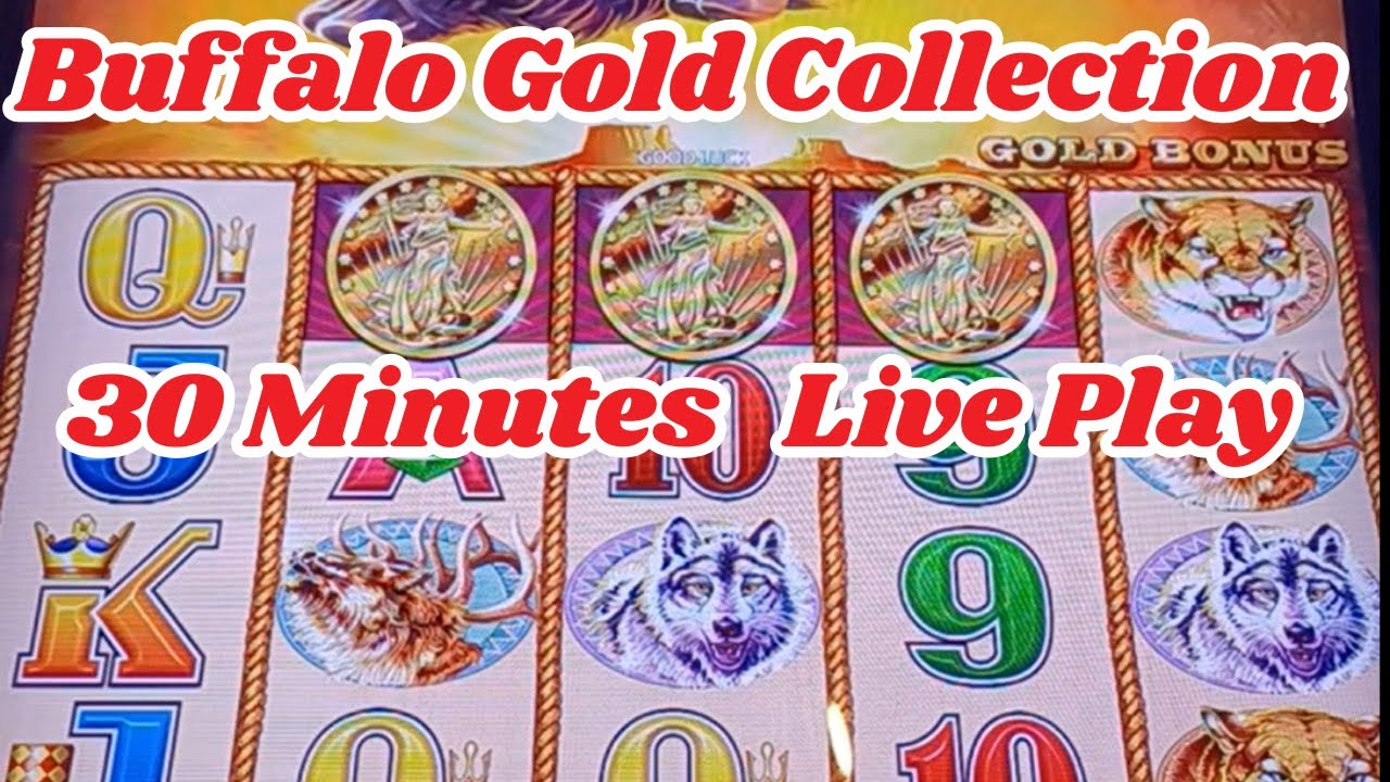 Buffalo Gold Collection &mdash; живое исполнение, 30 минут