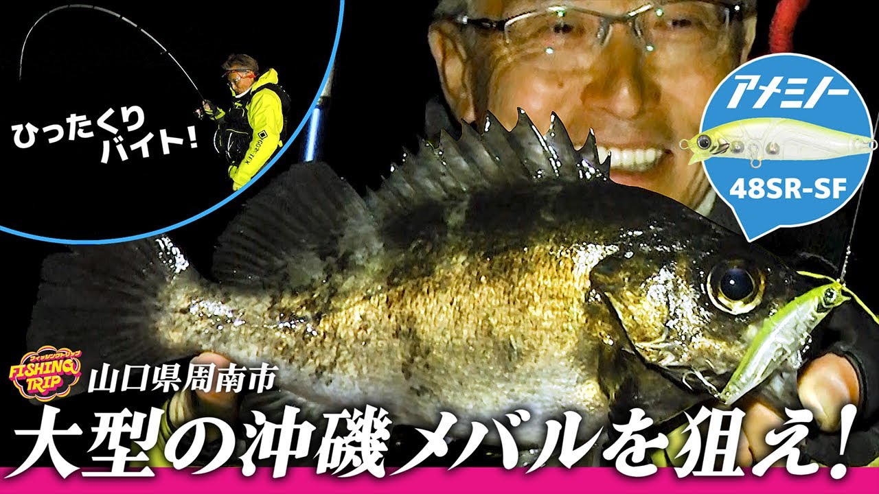 沖磯で大型メバルを狙え！ナイトメバルプラッキングin山口県周南市【フィッシングトリップ】
