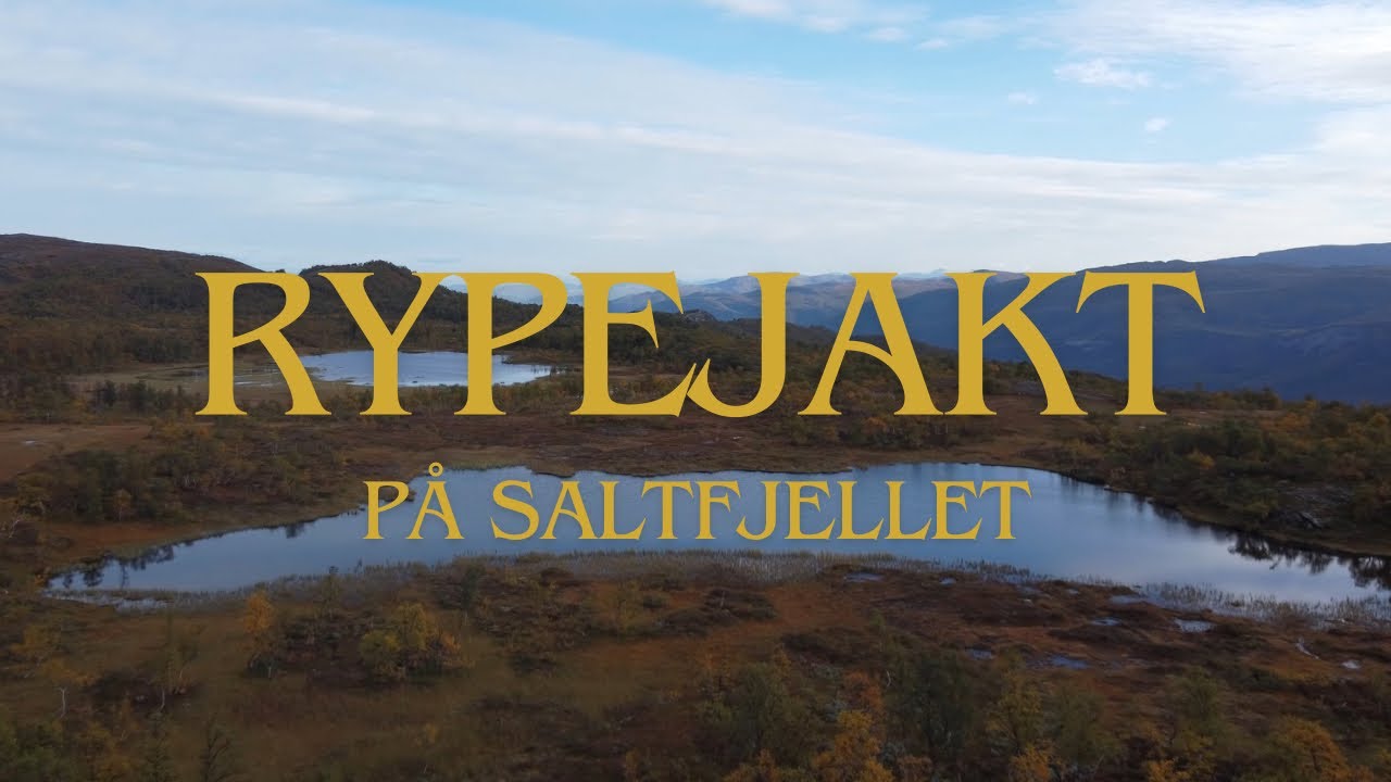 Rypejakt på Saltfjellet | Rypejakt 2023 | Willow grouse hunting 2023