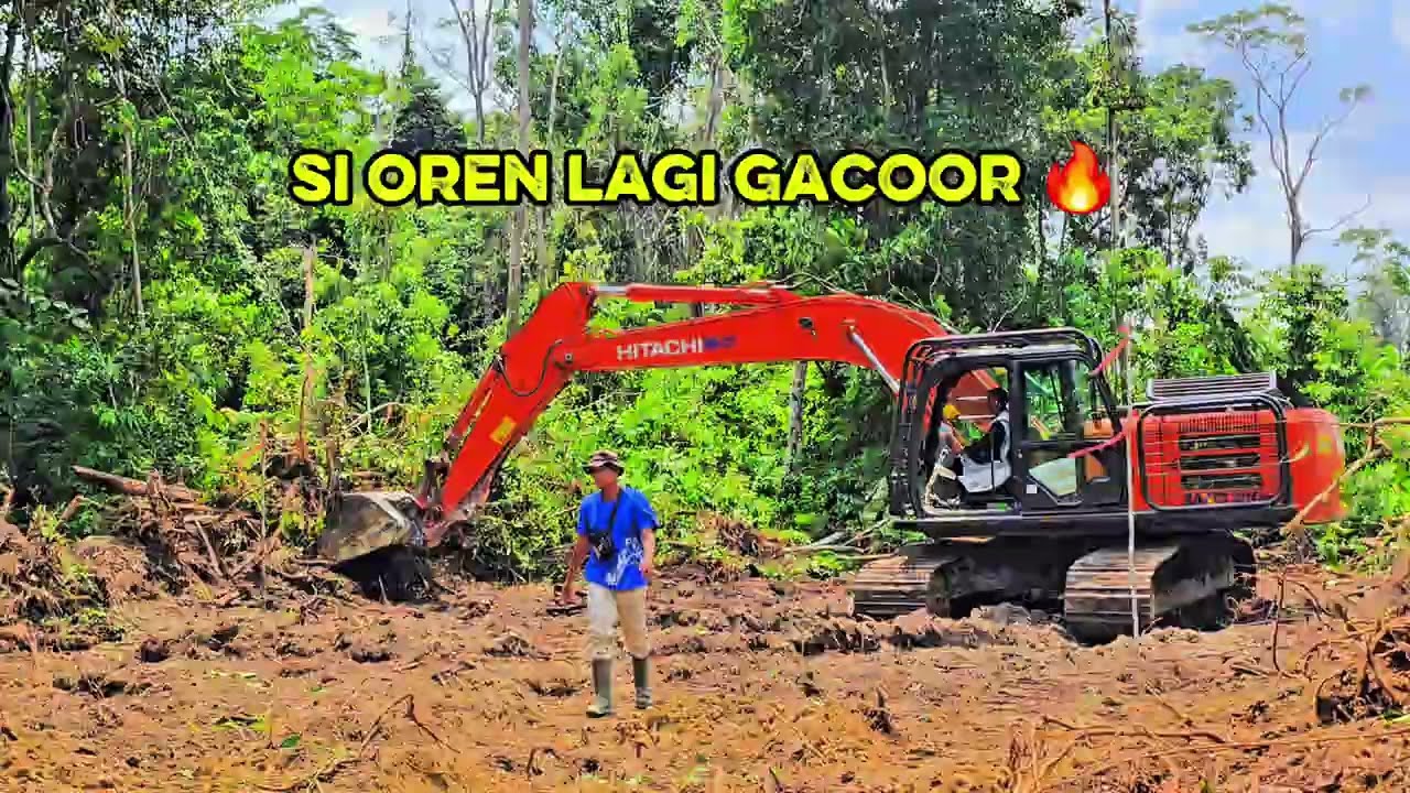 Si Oren Lagi Gacooor 🔥‼️