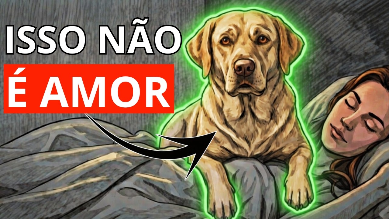 Por que os cães sobem em você de repente? (A razão é chocante)