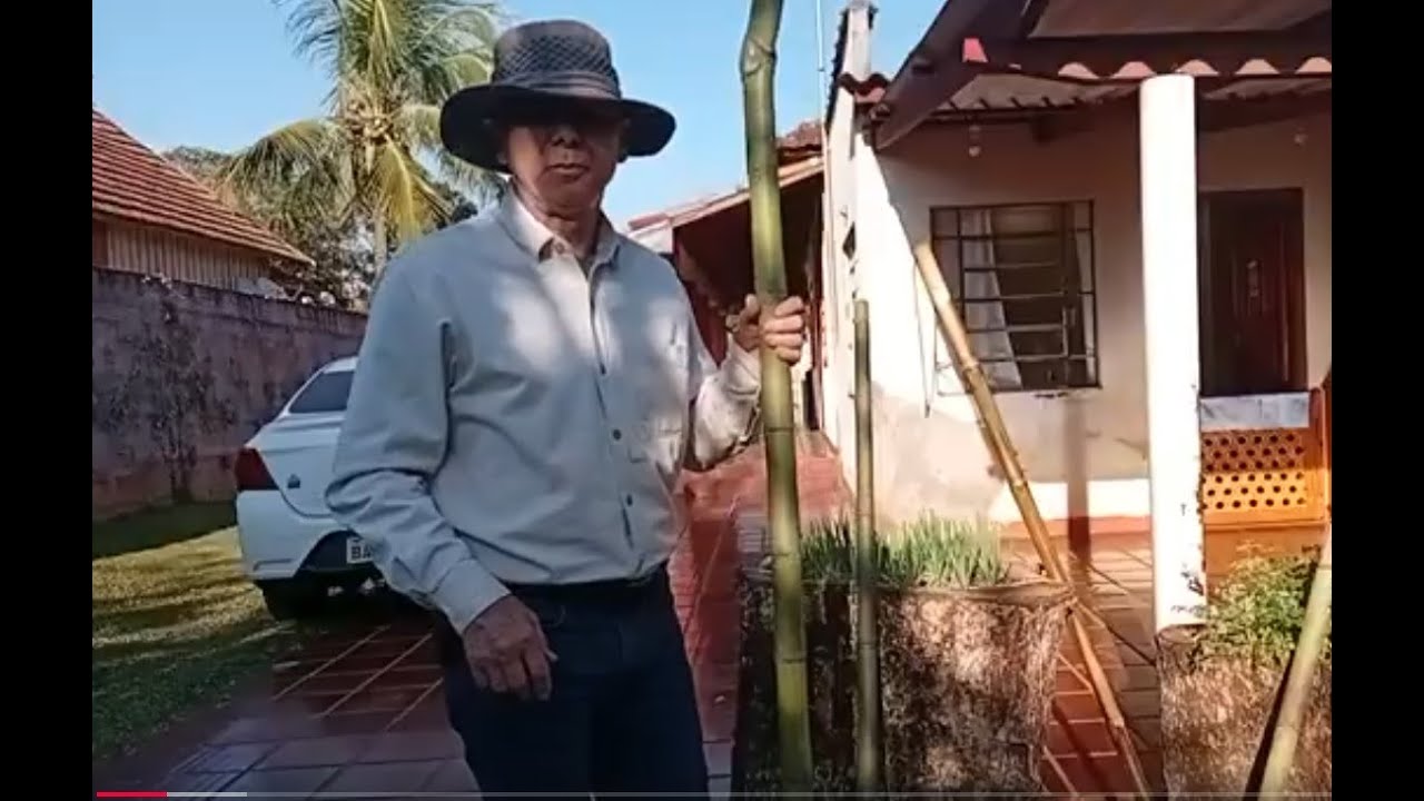 BAMBU VARA DE PESCAR - VIDEO 123