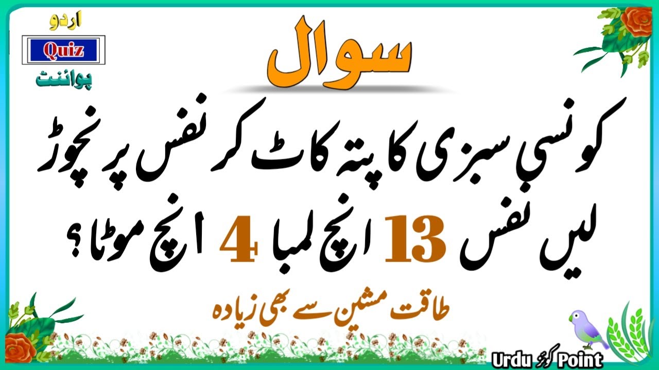 Top Islamic Sawal Jawab - Islamic Questions and Answers - Urdu Islami Paheliyan - Urdu Quiz Point