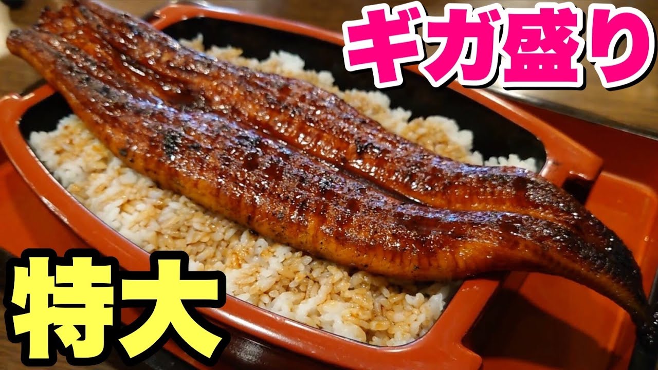 【大食い】器からはみ出る特大うな重！鰻4倍のギガ盛りを爆食い！