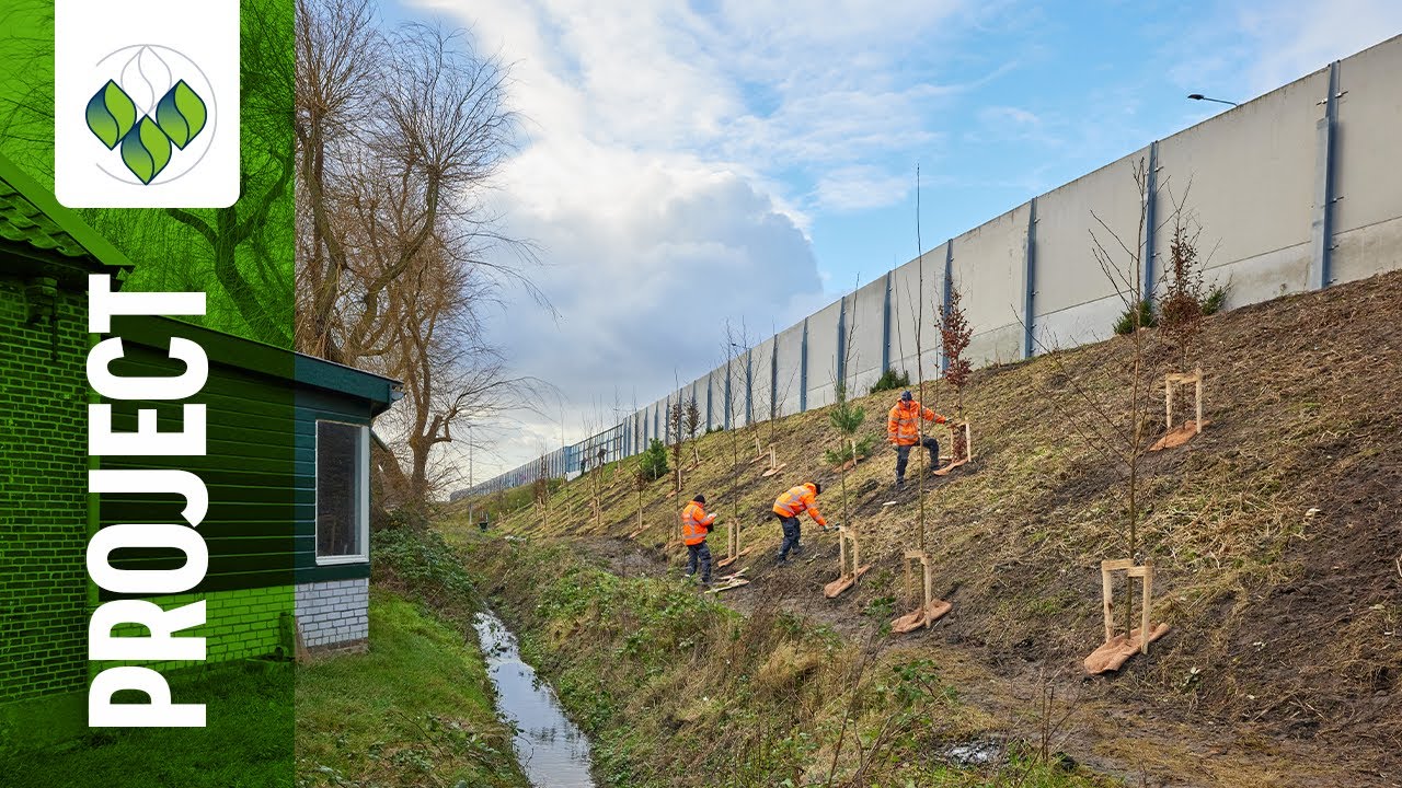 Groencompensatie bij de RijnlandRoute | Uitzending Omroep West 19 maart 2022