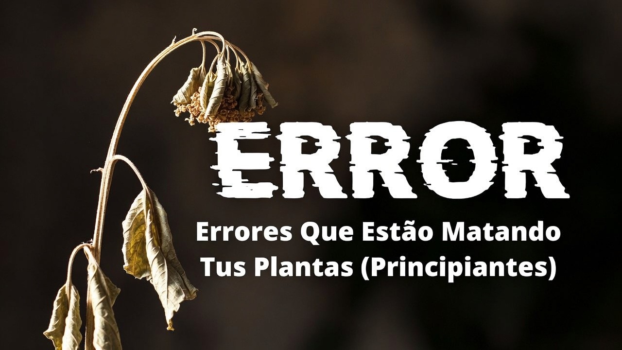 JARDINERÍA PARA PRINCIPIANTES: 10 TRUCOS FÁCILES PARA TENER PLANTAS HERMOSAS Y FUERTES