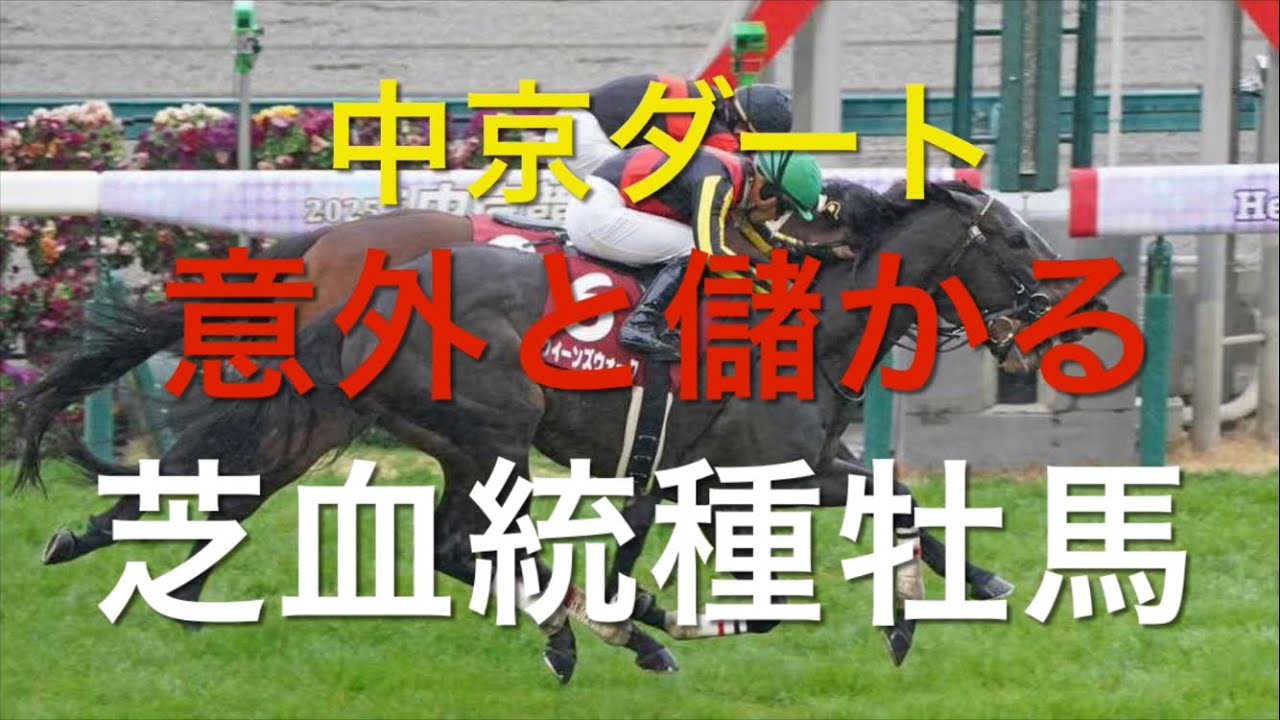 【競馬】中京ダートで儲かる意外な種牡馬【競馬検証】