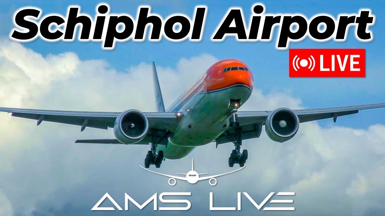 LIVE: Morning Arrivals at Amsterdam Schiphol Airport | Sep 26, 2025