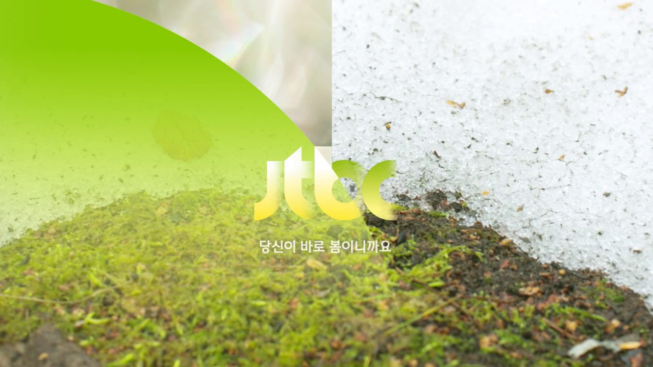 2017 JTBC Brand Design Season ID_봄 1