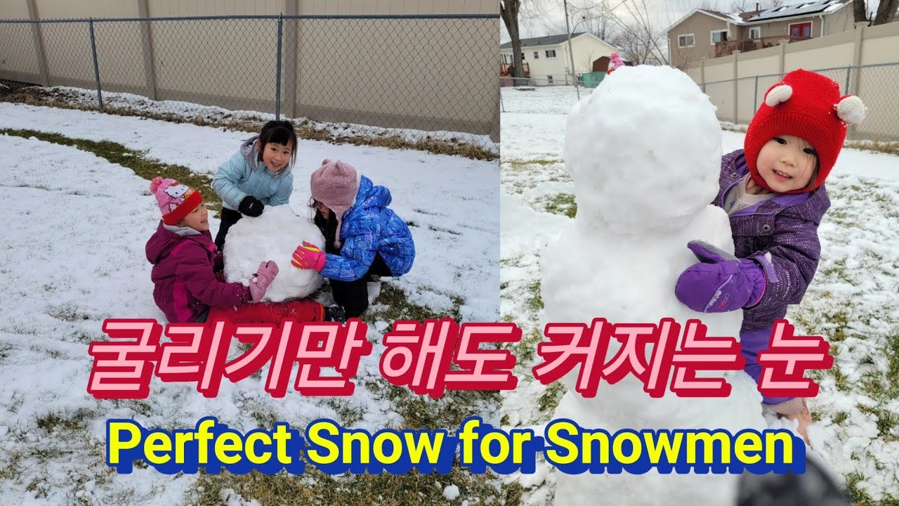[시카고 살이 교육] #29 이렇게 잘 뭉쳐지는 눈은 처음 봐 | 시카고 겨울 20260116 The Perfect Snow Day in Chicago 