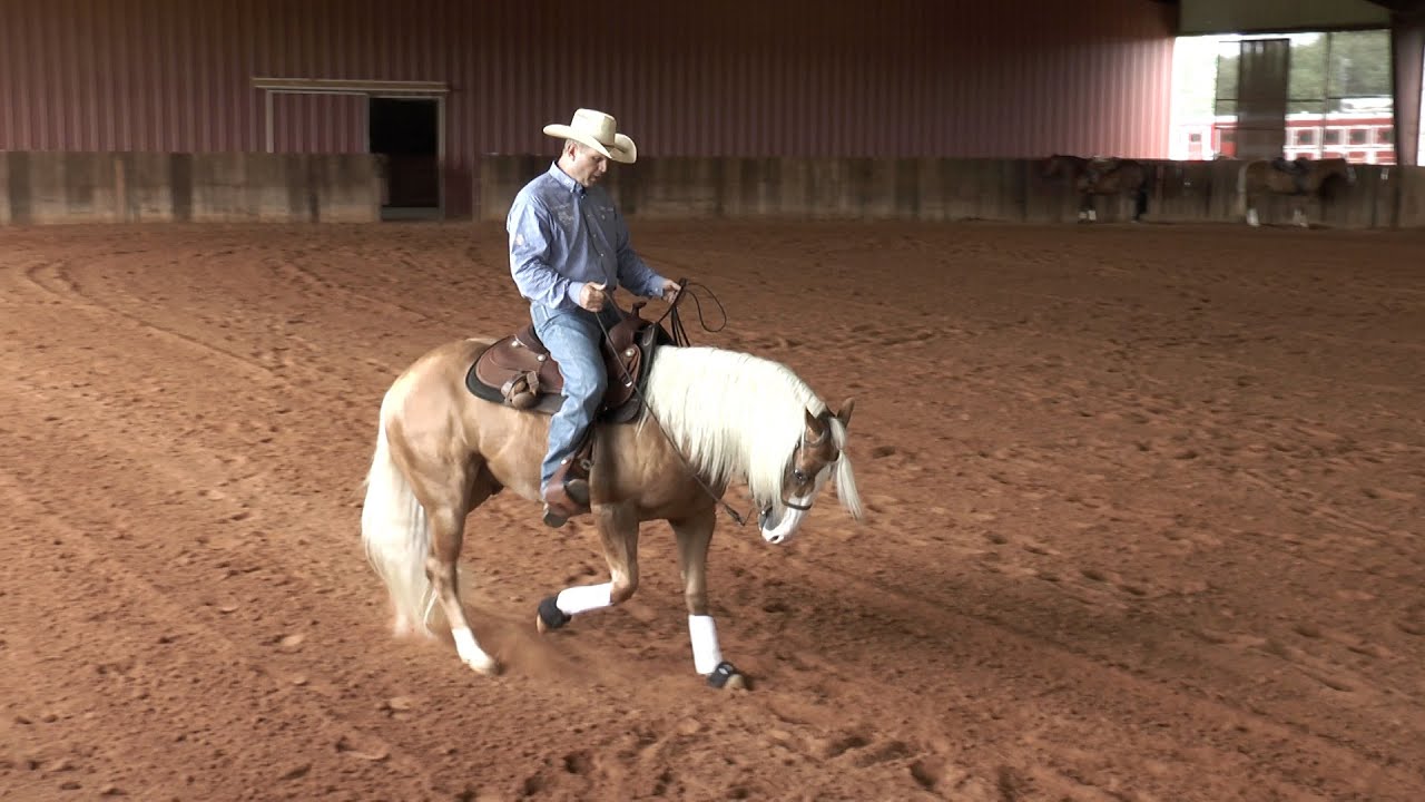 Todd Sommers - Hustle in the Back Up