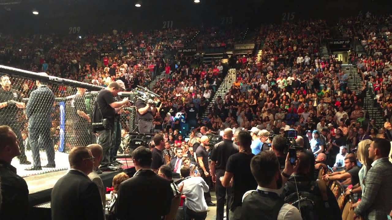 UFC 187 Anthony 