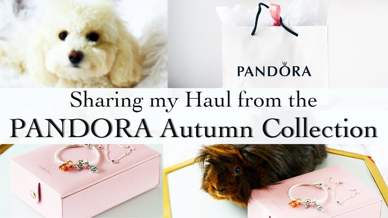 Pandora Haul | Autumn Collection and More