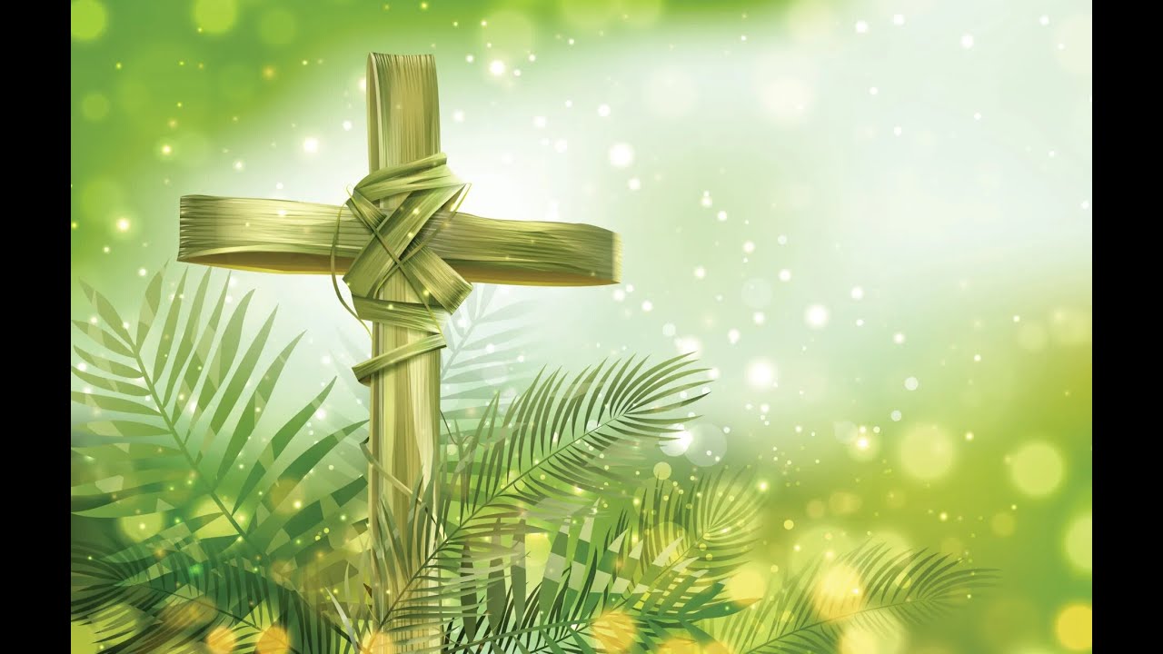 #LIVE #PALMSUNDAY #VATICAN #POPEFRANCIS