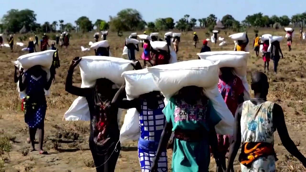WFP suspends some food aid to South Sudan