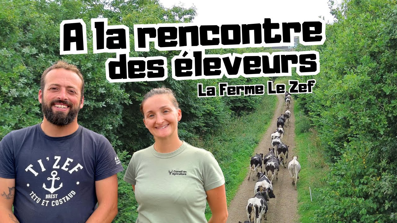 Quentin, seul aux commandes de sa ferme de 60 vaches - un rêve devenu réalité