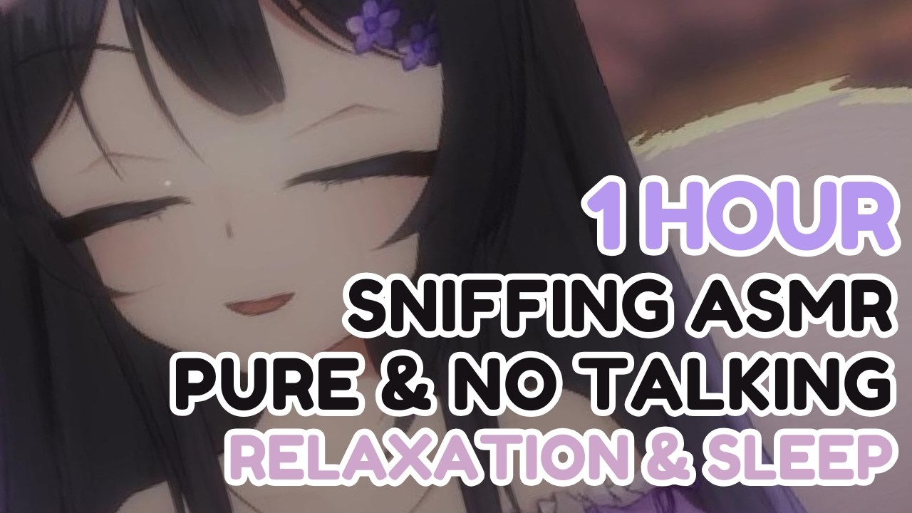 [ASMR] 1 Hour Sniffing Only by a Fox 🦊✨ No Talking, Cozy Sniffs Only | Sleep & Relaxation Tingles 💜💤