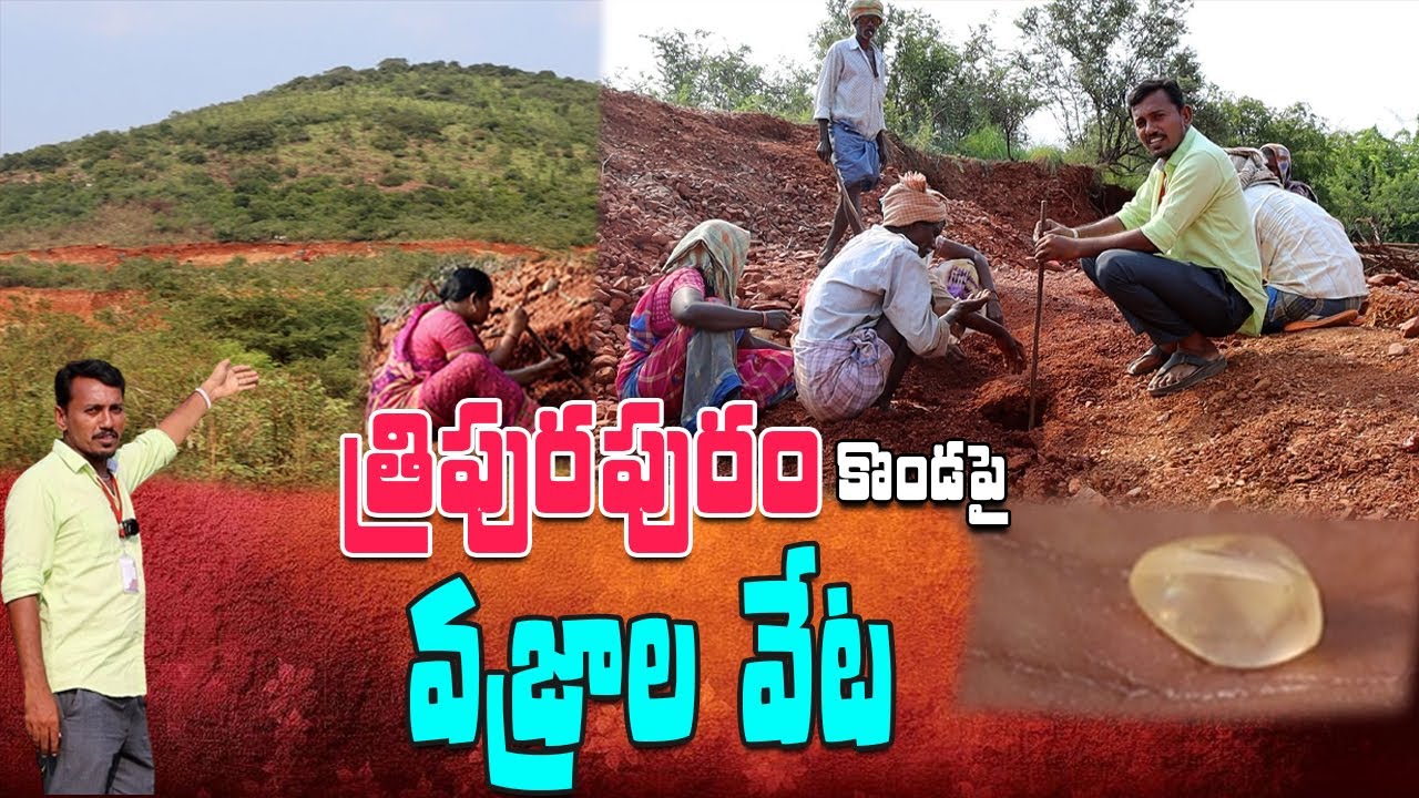 Palnadu People Searching for Diamonds ||నేకరికల్లులో వజ్రాల వేట || Palnati Prabha