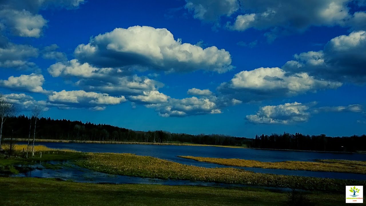 relax nature music video 4k 2022 4K nature video