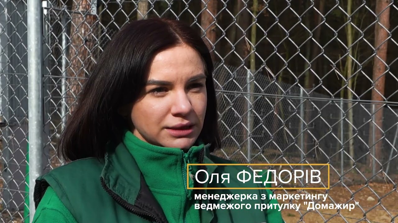 У ведмежому притулку «Домажир» вже прокинулися ведмеді після зимової сплячки