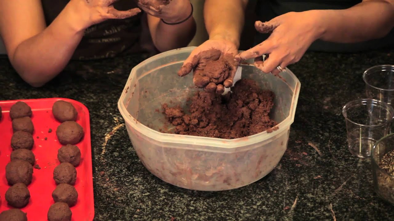 How to Make Seed Balls