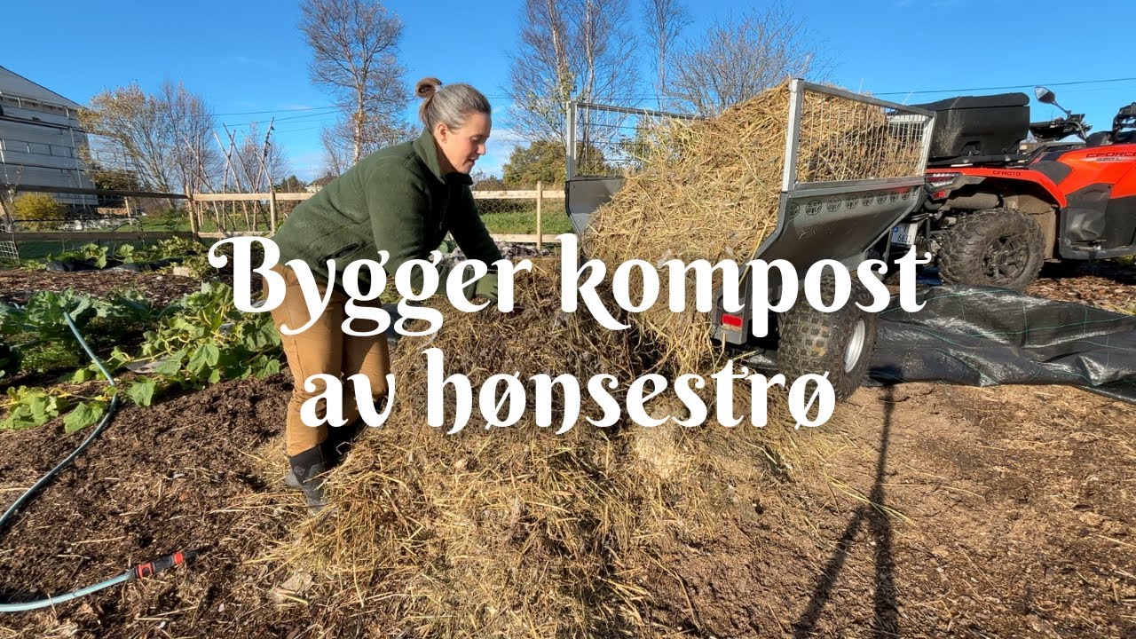 Bygger kompost av hønsestrø