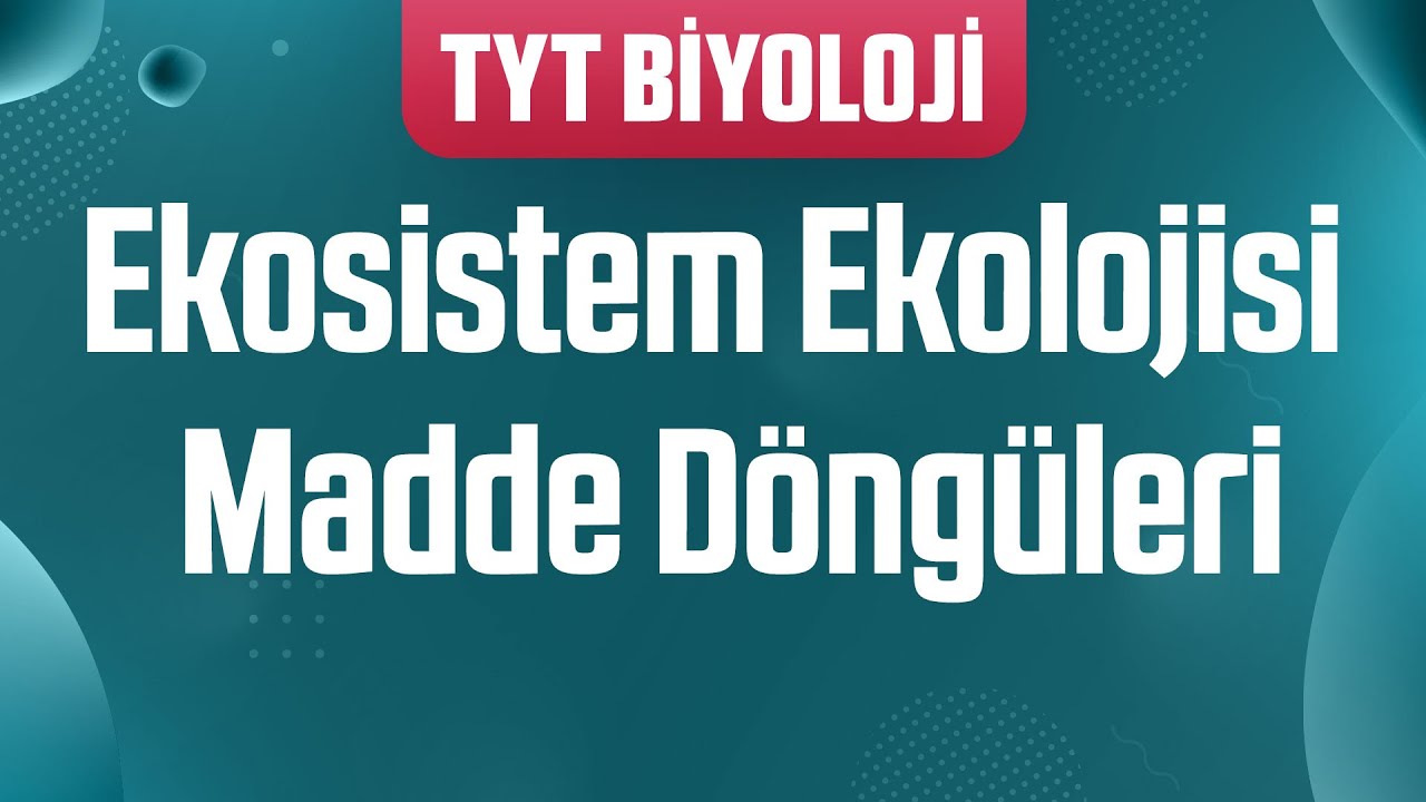 47) Ekosistem Ekolojisi : Madde Döngüleri