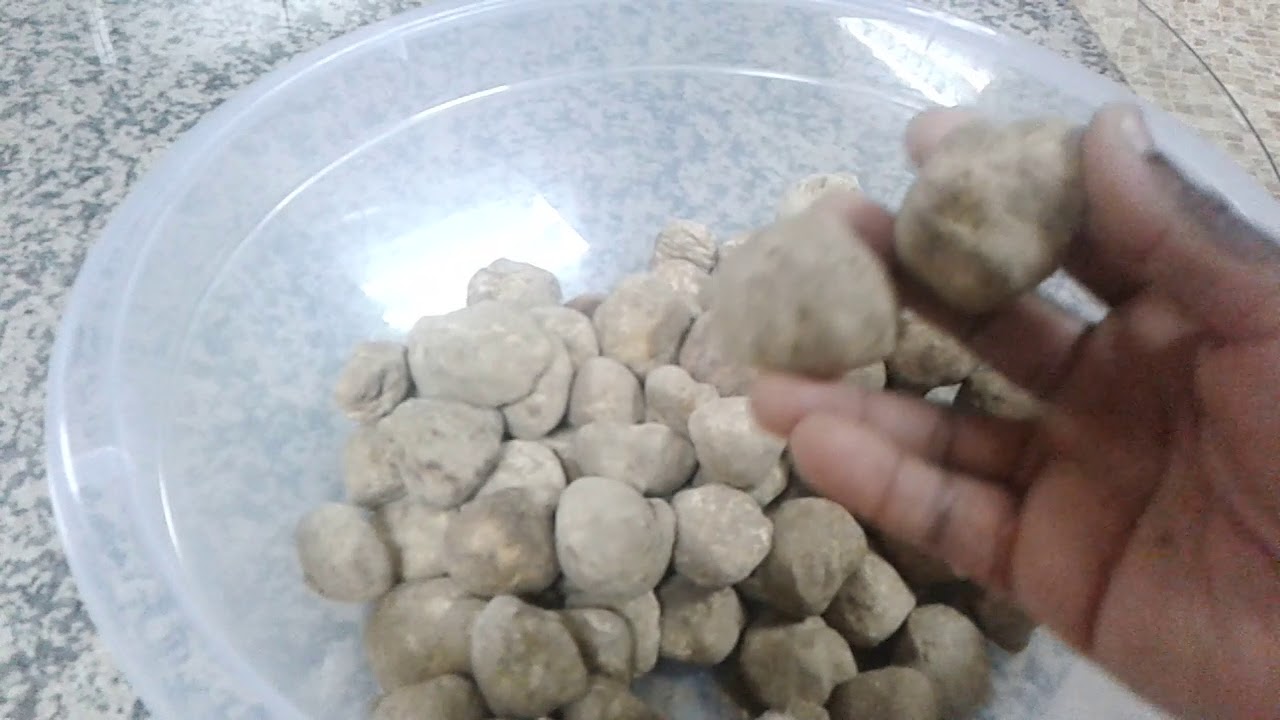 DESERT   MUSHROOM   LOOK LIKE......