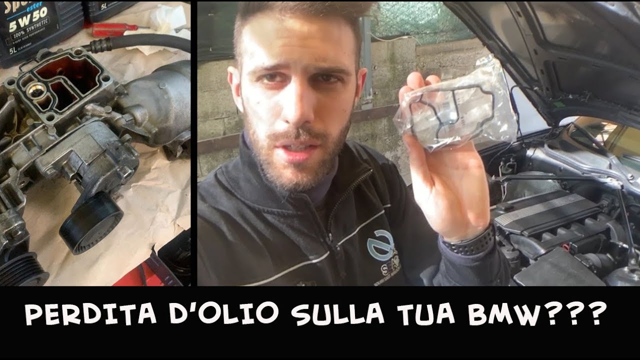 Sostituzione guarnizione porta filtro bmw z4/serie 3 (motore M54) + tagliando