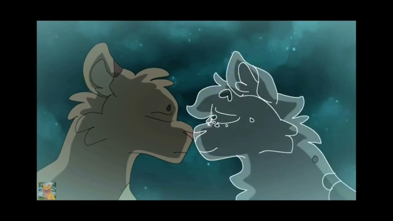 &Eacute;dit &eacute;toile de feux