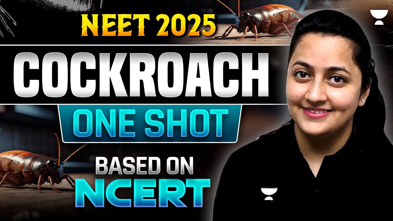 Cockroach Part-2 | One Shot | Based on New NCERT | NEET 2025 | Infinity Series | Ambika Ma'am