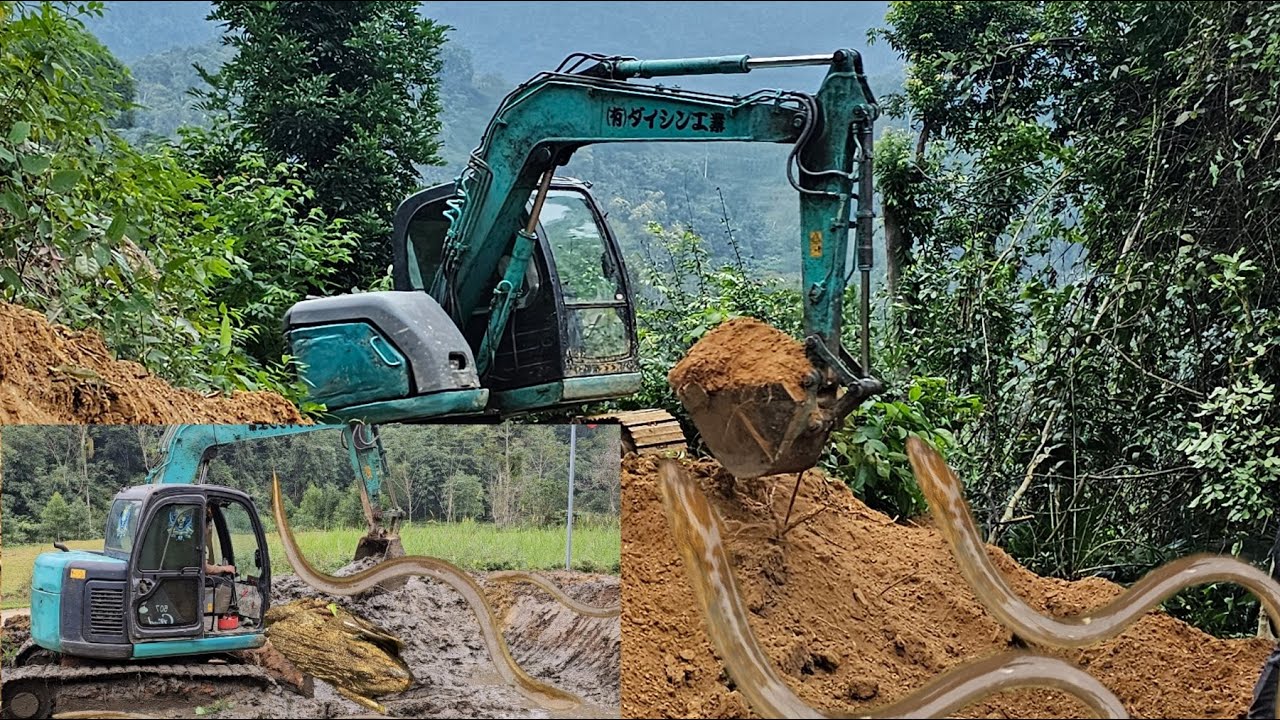 Excavators dig ponds and open mining roads to high mountains