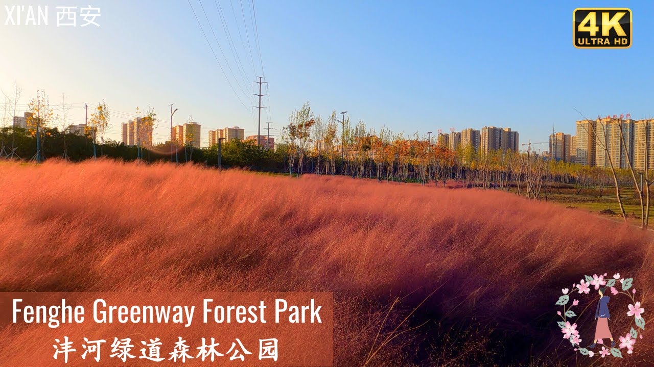Walk in Xi'an Fenghe Greenway Forest Park｜Xianyang New District｜China｜西安沣河绿道森林公园｜咸阳新区｜4K HDR｜2021