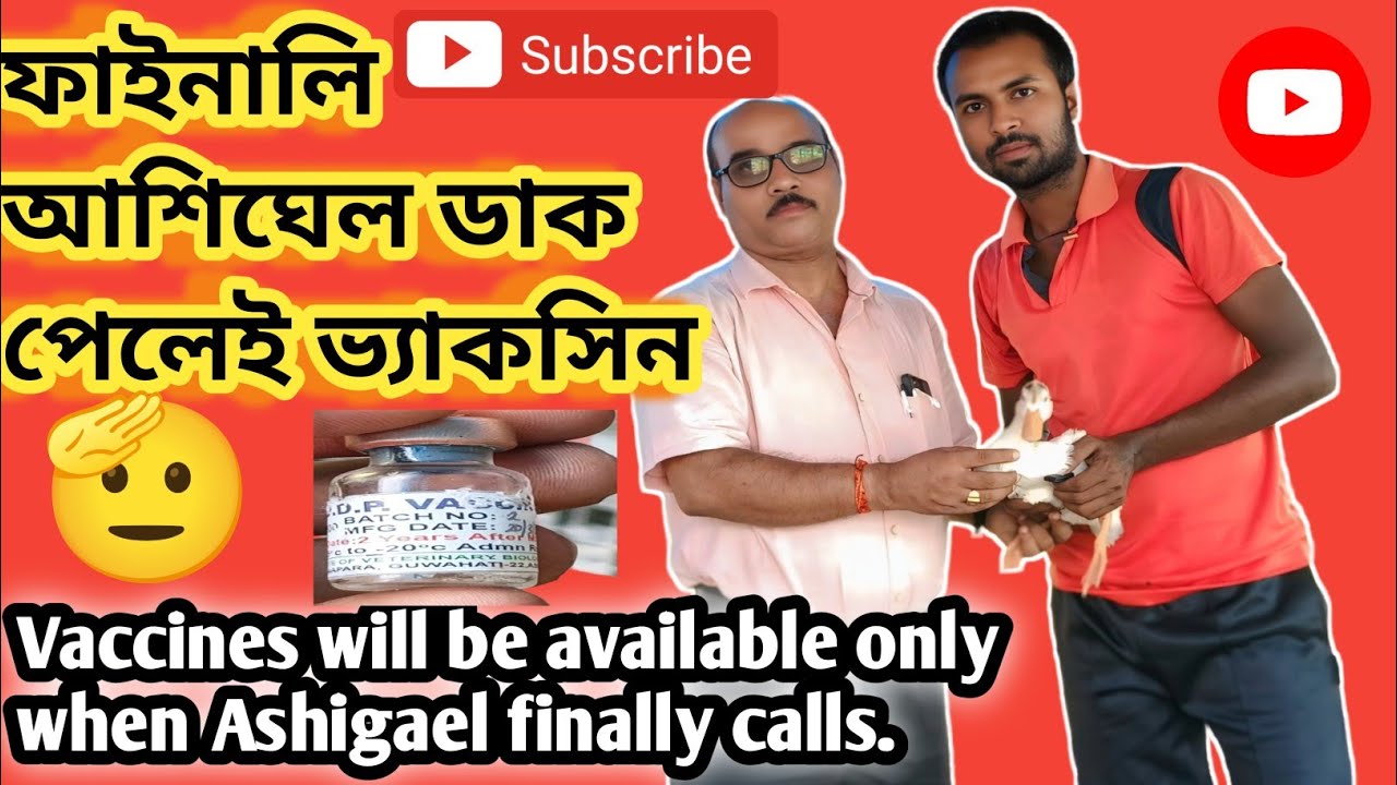 Finally Asil Duck play vaccine-Ghoruwavlog 🦆🦆