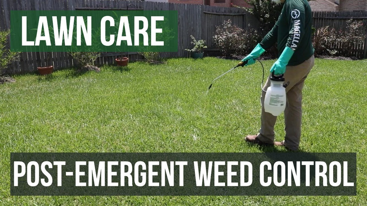 Post-Emergent Weed Control: A Lawn Care Guide