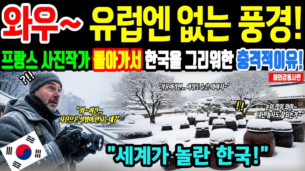 폭설 내린 한국의 풍경을 보고 놀란 세계적인 외국인 사진작가가 오열한 충격적인 이유! 효율의 나라라 믿었는데... 한국에서 무너진 프랑스 [해외감동사연]