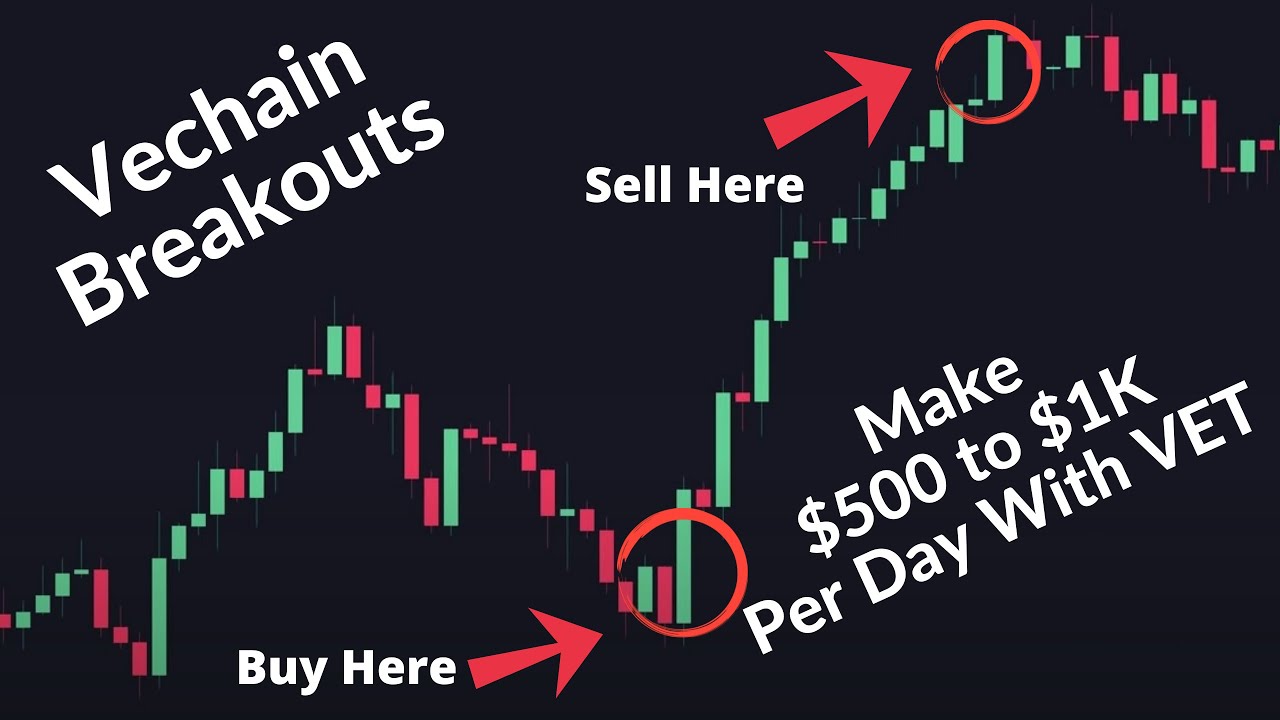 Vechain Breakout Make $500 to $1,000 Per Day With VET (Regardlesss if the price goes up or down)