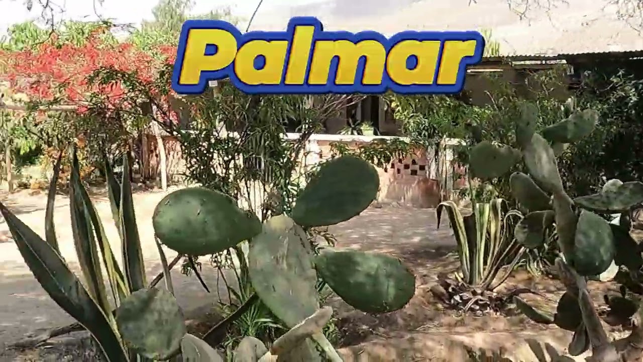Carnavales de Pampahuasi 2024