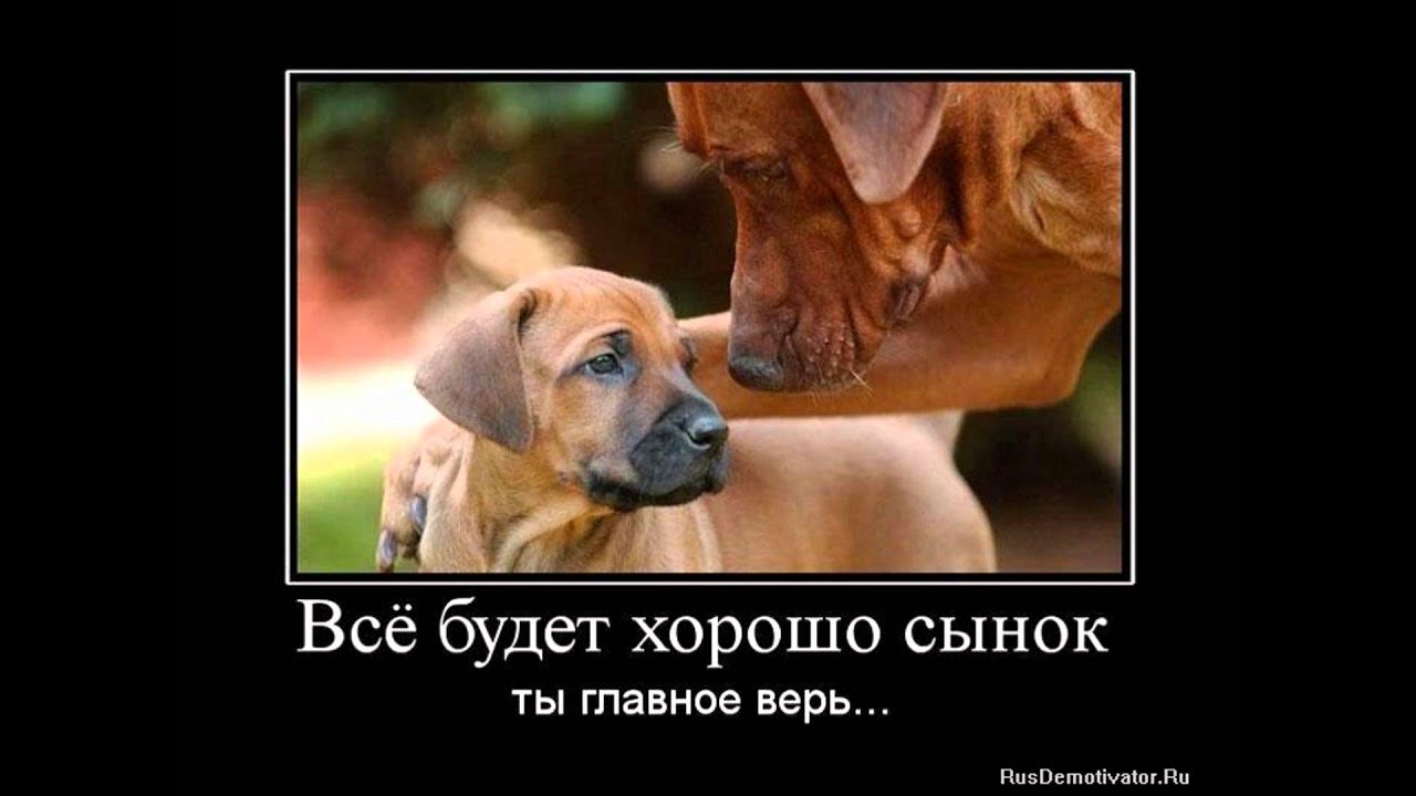 дессар- всё будет хорошо.wmv