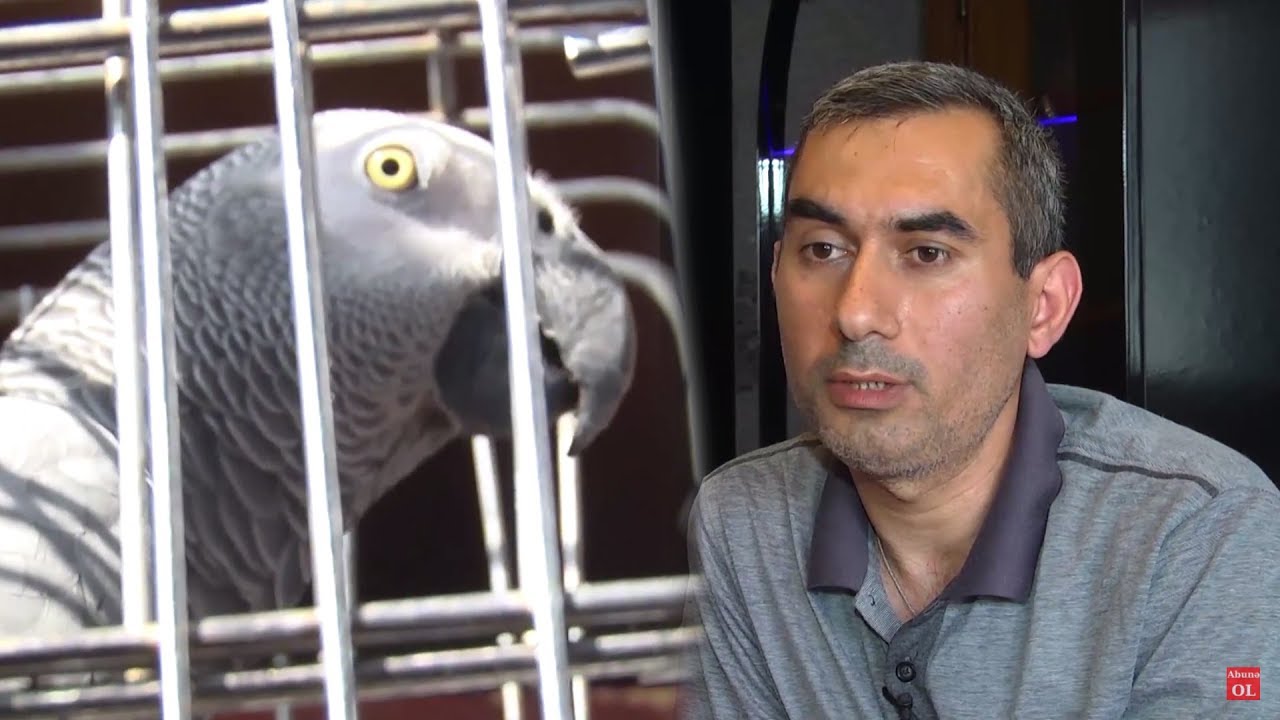 Bakının 