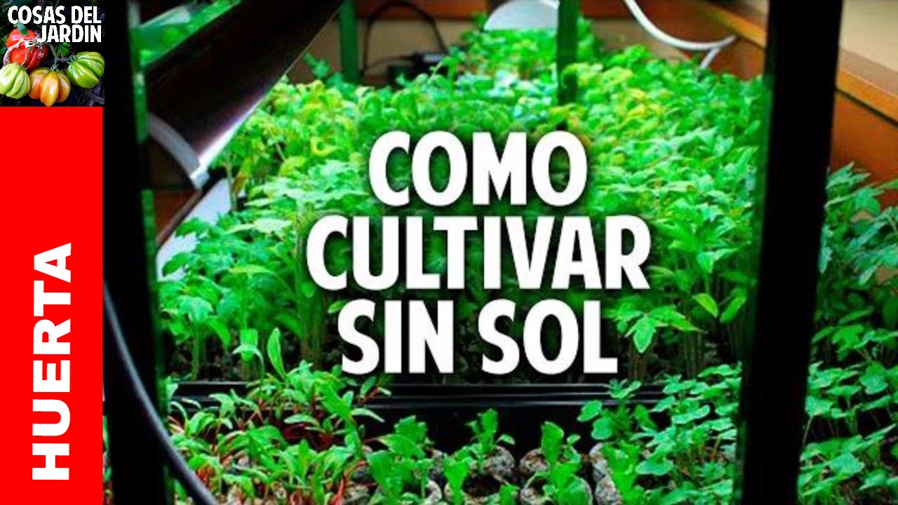 Como hacer un indoor casero paso a paso ideal para germinacion de semillas