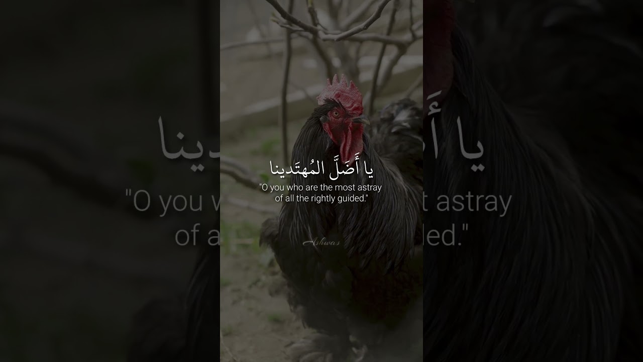 One day the Fox came out | Ahmed Shawqy | برز الثعلب يوماً - أحمد شوقي #arabic #poetry #poem #شعر