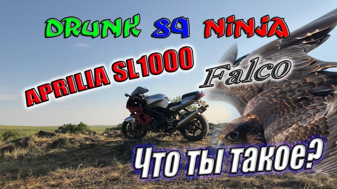 Aprilia SL1000 Falco VS  kawasaki ZX-9R , спортбайк за 300