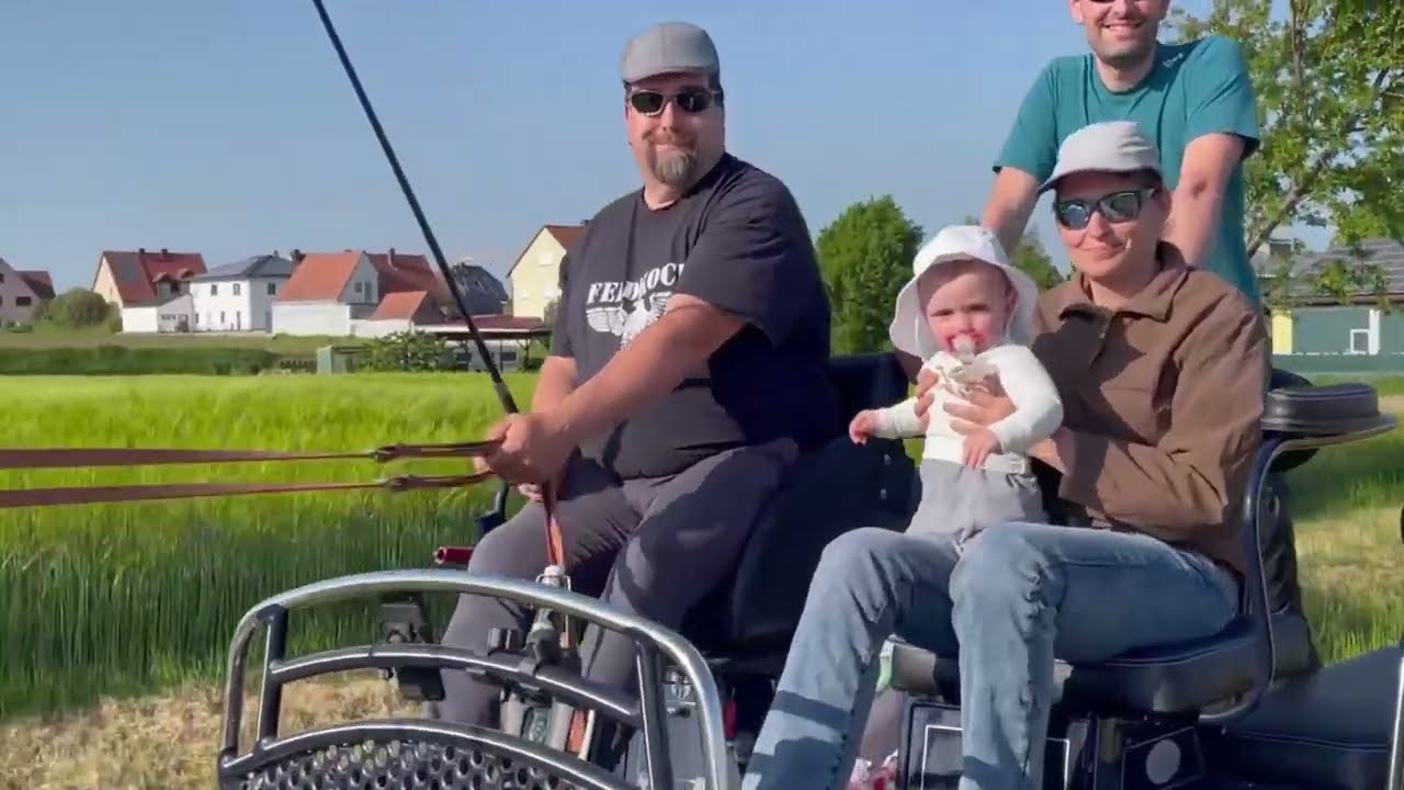 Noriker Luggi Vulkan Kutschfahrt um Mitteleschenbach